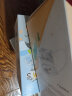 海氏海诺 医用外科口罩独立包装无菌50只 儿童适用口罩医用灭菌型防尘透气小学生卡通口罩 蓝色小牛 实拍图