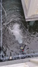 漁師傅大型魚塘魚池推水造浪泵沖浪增氧機(jī)充氧暴氧機(jī)空氣氧氣炮增氧水泵 450W+消音器適合100立方/水深1.2米內(nèi) 曬單實(shí)拍圖