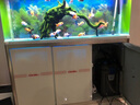 歐亞瑟德國歐亞瑟OASE魚缸加熱棒自動恒溫加溫水族箱草缸烏龜熱帶魚 25w適合15L魚缸加熱棒 曬單實拍圖