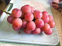 馳振妮娜皇后葡萄無(wú)籽紅提紅寶石應季新鮮孕婦水果年貨送禮禮盒 精選特級果 2斤 【無(wú)禮盒】 曬單實(shí)拍圖
