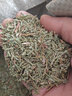 純正側柏葉天然野生側伯葉粉皂角何首烏無(wú)患子粉中藥養發(fā)洗頭粉包 側柏葉粉500克 曬單實(shí)拍圖