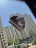 佛羅倫擦玻璃神器防掉儲(chǔ)水雙面強(qiáng)磁玻璃擦窗器防夾手清潔家政擦窗工具 【15-26mm單/雙層玻璃】+禮包 曬單實(shí)拍圖