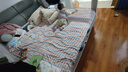 戴維貝拉（DAVE＆BELLA）兒童羽絨背心女童羽絨服白鴨絨小童馬甲幼兒上衣冬裝新款寶寶坎肩 天鵝印花【現(xiàn)貨】 90 cm（建議身高80-90cm） 曬單實(shí)拍圖