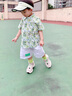 FNJ KIDS男童短袖套裝夏季新款帥氣寶寶薄款衣服兒童襯衫短褲兩件套 綠色 110 （建議身高100-110cm） 曬單實拍圖