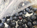 鼎宴堂（DINGYANTANG）【順豐空運】云南藍莓水果禮盒當季限量藍莓鮮果新鮮水果生鮮 藍莓 500g 1斤精品禮盒裝 曬單實拍圖