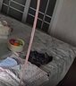 CANSMARTER學(xué)前教具嬰幼兒抓握球觸覺(jué)感知練習0-1歲早教玩具蒙臺梭利 LT109抓握球組合(含籃子) 抓握球組合(含籃子) 曬單實(shí)拍圖