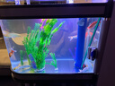 喜灝子彈頭魚缸水族箱客廳家用中型大型1.2米屏風隔斷免換水鞋柜魚缸 包到家安裝 1.0米長實木夾板柜一套-底濾 曬單實拍圖