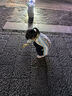 江博士秋季男女童加絨保暖學(xué)步鞋 簡(jiǎn)約休閑兒童健康鞋 白/灰 32 腳長(zhǎng)約19.6-20.1 曬單實(shí)拍圖