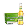 百威Budweiser百威啤酒勁檸青檸檬味果味黃啤330ml瓶裝 330mL 24瓶 曬單實拍圖
