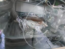 小熊（Bear）电烤箱多功能家用迷你小型独立控温20L烘烤蛋糕烤炉烤箱DKX-C20M3 实拍图