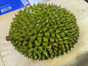 市舶士馬來(lái)西亞貓山王榴蓮D197整果自然樹(shù)熟液氮冷凍榴蓮肉進(jìn)口水果送禮 【保底5房】A級(jí)精品 4.1-4.5斤 曬單實(shí)拍圖