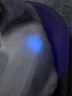 神鱼伍德氏灯猫藓灯照狗藓宠物真菌检测验钞灯紫光紫外线手电筒V7 实拍图