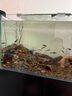 玉弘杰超白玻璃溪流缸客廳中大型魚(yú)缸家用水草缸底濾免換水生態(tài)水族箱 爵士黑+內置背包 80*45*126cm 曬單實(shí)拍圖
