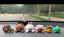 潮九玩五LINE FRIENDS布朗熊汽車(chē)中控臺裝飾可愛(ài)創(chuàng  )意車(chē)內飾品車(chē)載小擺件 蜜蜂BROWN【大號】 曬單實(shí)拍圖