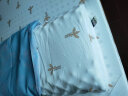 RoyalLatex 乳胶枕泰国原装进口皇家天然乳胶成人枕头枕芯柔弹透气护颈枕 高低颗粒按摩枕【梦享版】 实拍图