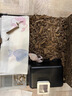其鱗Cleen玻璃爬寵缸守宮蜥蜴角蛙寄居蟹蛇爬蟲飼養(yǎng)箱盒雨林缸生態(tài)缸 小號(hào)20*20*15cm投食孔 曬單實(shí)拍圖