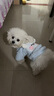 貝初眾狗狗衣服小型犬寵物貓衣服秋冬保暖幼犬小狗衣服比熊泰迪博美衣服 加厚羊羔絨-帶牽引環(huán) M 【適合5-8斤寵物】 卡通系毛絨刺繡兩腳裝 曬單實(shí)拍圖