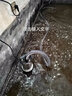 歐亞瑟抽水泵地下室車庫吸水器低水位自動排水泵清水泵 650W+10米1寸普通軟管 曬單實拍圖