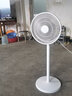 長虹（CHANGHONG） 電風扇落地扇家用立式電扇臺扇搖頭電扇小型辦公室宿舍家用電扇循環(huán)空氣風扇 7葉大號遙控款（加長線型） 曬單實拍圖