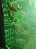 藍寶 魚(yú)缸氣泡條瀑布式氧氣泵氣泡石盤(pán)水族箱氣泡管增氧泵沙頭散氣條 曬單實(shí)拍圖