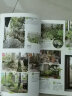 自然风小庭院设计——植物选择与搭配 实拍图