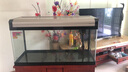 博宇（BOYU）魚(yú)缸 水族箱 熱彎玻璃 40寬 上過(guò)濾家用客廳龍魚(yú)缸養水草金魚(yú)過(guò)濾 EA-100香檳色魚(yú)缸不帶柜(100*40*56) 曬單實(shí)拍圖