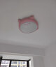 雷士（NVC）LED吸顶灯儿童房卧室创意可爱萌宠全光谱护眼灯具卡通龙猫粉色 实拍图