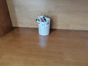 時(shí)代良品 自由熊筆筒收納 創(chuàng  )意時(shí)尚可愛(ài) 文具學(xué)生辦公室桌面擺件多功能筆桶 SD-2566粉色 曬單實(shí)拍圖