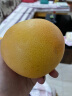 十记庄园 南非西柚 进口红心柚葡萄柚红宝石柚子新鲜水果 6个(单果200-250g) 实拍图