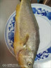 鱻謠呂四油帶魚(yú)5斤 單條3-4兩 整條 鮮帶魚(yú)海鮮魚(yú)類(lèi) 曬單實(shí)拍圖