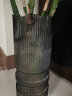 盛世泰堡玻璃花瓶透明插花瓶富贵竹百合玫瑰水培容器客厅桌面摆件烟雨条条 实拍图