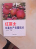 紅富士蘋果生產(chǎn)關(guān)鍵技術(shù) 曬單實拍圖