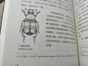 【官方直營(yíng)】昆蟲記 青少年讀本 法布爾 博物雜志 張辰亮推薦  寫實(shí)插畫精準(zhǔn)還原細(xì)節(jié) 博物學(xué)入門 中文分級(jí)閱讀六年級(jí) 兒童文學(xué) 果麥文化出品  閱讀狂歡節(jié) 曬單實(shí)拍圖