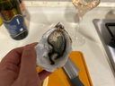 樂(lè )味到（EAT WITH LOVE） 空運進(jìn)口法國生蠔鮮活牡蠣 生蠔體驗裝 10只裝 海鮮拼盤(pán) 曬單實(shí)拍圖