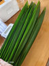 曠古農(nóng)業(yè)【順豐】斑斕葉新鮮香蘭葉 斑蘭葉 250g 曬單實拍圖