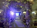 華夏珠江七顆搖頭帕燈LED激光光束燈KTV彩燈小夜場(chǎng)舞臺(tái)激光燈婚禮感應(yīng)彩燈 （染色款）7顆搖頭（黑外觀） 黑色外殼 曬單實(shí)拍圖