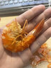 海盈養碳烤蝦干即食大號九節蝦500g非特級網(wǎng)紅海鮮兒童零食休閑食品小吃 14-16厘米【禮盒裝】500克 曬單實(shí)拍圖