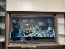 飞利浦（PHILIPS）75英寸电视 4K超高清智慧全面屏 MEMC防抖 远场AI语音 客厅影音智能液晶平板电视机75PUF7108/T3 75英寸 实拍图