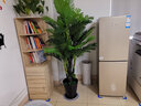 仿真綠植客廳室內裝飾大型假植物盆栽發(fā)財樹(shù)落地幸福樹(shù)防真花盆景 1.5米福星高照贈盆+草 曬單實(shí)拍圖