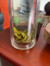 鵬途（PENGTU）茶葉禮盒裝 高檔禮品中秋節(jié)節(jié)日送長輩老師禮物 六大名茶380g 曬單實拍圖