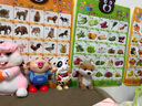 嬰幼兒有聲掛圖凹凸水晶立體掛圖 乖寶寶高清數(shù)字早教拼音發(fā)聲識字卡語音玩具 兒童認(rèn)知早教啟蒙認(rèn)水果蔬菜 認(rèn)知3件組：水果+蔬菜+動物世界 曬單實拍圖