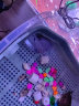 诗轩 [深水龟]圆澳龟水龟深水混养乌龟活体清缸神器红纹曲颈龟吃垃圾鱼粪便清洁乌龟圆奥龟乌龟活物 3-4 厘米 两只 情侣一对 实拍图