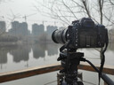 尼康200-500 80-400 200-400 單反鏡頭二手鏡頭 AF 80-400f 4.5-5.6D VR一代 99新 曬單實拍圖