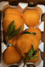 四川愛(ài)媛38號果凍橙 橘子桔子冰糖橙果汁榨汁生鮮水果半價(jià) 2.5-3斤65mm+微酸 曬單實(shí)拍圖