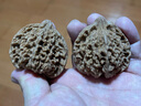 山中玉文玩核桃獅子頭滿天星把玩青皮手玩手把件百花山麻核桃生日禮物男 46mm左右 曬單實(shí)拍圖