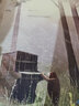狗狗和小提琴（凱特·格林納威獎入圍獎得主新作、英國水石書店童書插畫獎作品《大熊和鋼琴》續(xù)作）(中國環(huán)境標志產(chǎn)品 綠色印刷) 曬單實拍圖