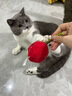 all for paws木天蓼玩具貓薄荷逗貓棒潔齒磨牙棒自嗨解悶神器小貓寵物用品 木天蓼櫻桃 曬單實(shí)拍圖