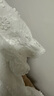 百圖betu女裝夏季新款襯衫復古法式立體提花刺繡襯衫女2306T37 白色 S 曬單實拍圖