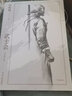 武士會 徐皓峰 著 己亥年修訂版 徐皓峰長篇小說歷史小說 現(xiàn)代當(dāng)代文學(xué) 光明日報(bào)出版社 正版書籍 鳳凰新華書店旗艦店 曬單實(shí)拍圖