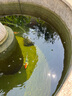 歐亞瑟室外魚池水循環(huán)系統(tǒng)魚池過濾器錦鯉魚池過濾桶箱錦鯉池塘凈化裝置 36000直流式套裝/12立方米內(nèi)魚池 曬單實拍圖
